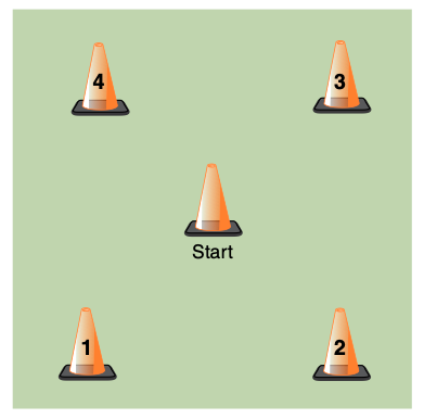 Agility box drill online